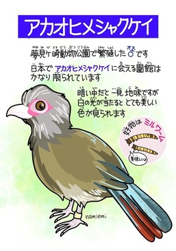 AJIqVNPCyēz2025_001.jpg
