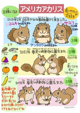 アメリカアカリス紹介_namiemi.jpg