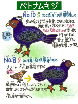 xgiLẄē_namiemi_2022.1.27.jpg