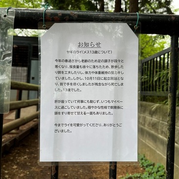 Myēz_2025_05.JPG
