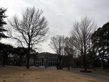 埼玉県近代美術館_01.jpg