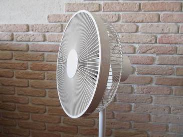 fan_muji.jpg