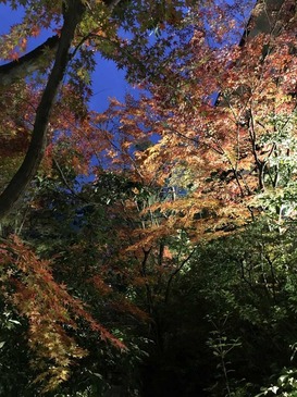 matsuyama_11.jpg