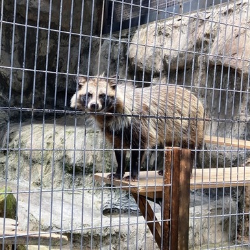nogayama_zoo_2022.8_05.jpg