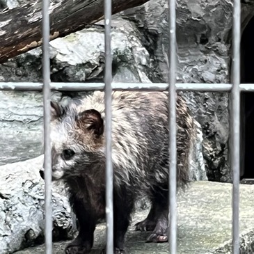 nogayama_zoo_2022.8_07.jpg