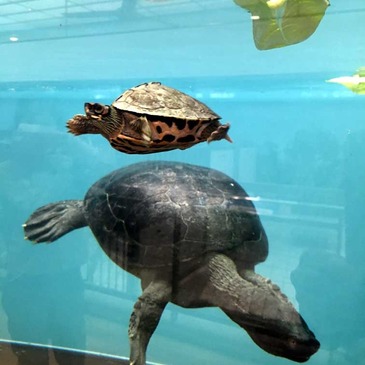nogeyama_zoo_2020.10_05.jpg
