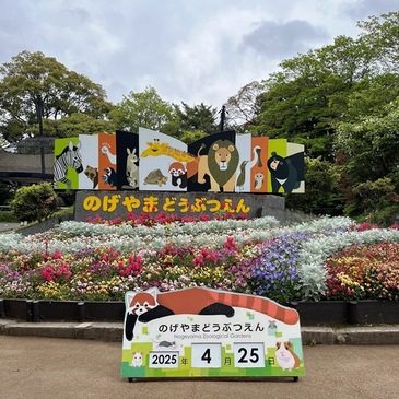 nogeyama_zoo_2025.4_03.JPG