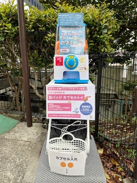 nogeyama_zoo_2025.4_05.JPG
