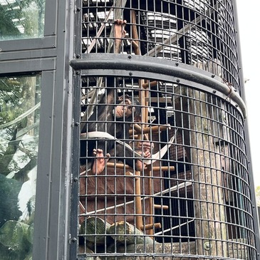 nogeyama_zoo_2025.4_07.JPG