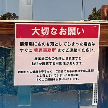 nogeyama_zoo_2025.4_09.JPG