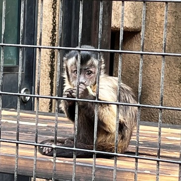 nogeyama_zoo_2025.4_11.JPG