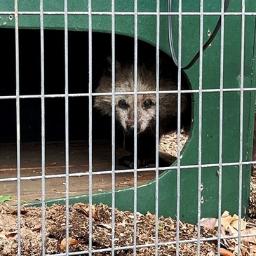 nogeyama_zoo_2025.4_12.JPG