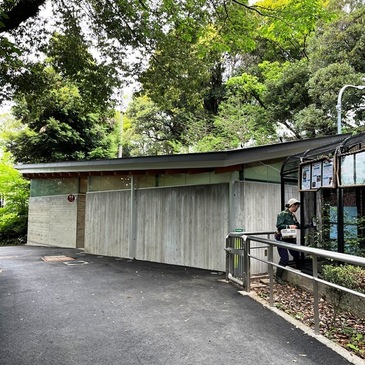 nogeyama_zoo_2025.4_14.JPG