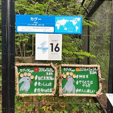 nogeyama_zoo_2025.4_16.JPG
