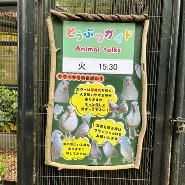 nogeyama_zoo_2025.4_17.JPG