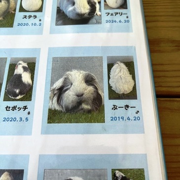 nogeyama_zoo_2025.4_22.JPG