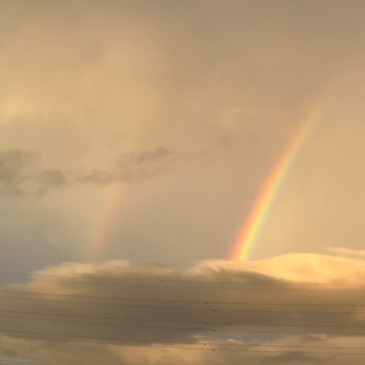 rainbow_2022.8.13_4.jpg
