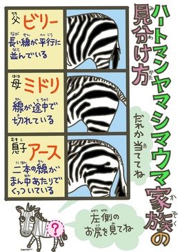 shimauma-no-miwakekata_1.jpg