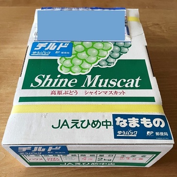shine_muscat_2022.9_01.jpg