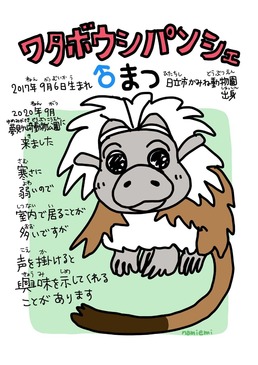 wataboushi_pansye_01.jpg