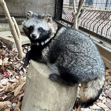 yuemi_2022.12_015.JPG