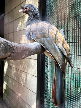yumami_zoo_2023.8_011.JPG