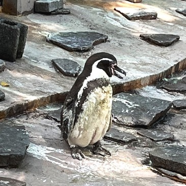 yumemi-zoo_2021.7_02.jpg