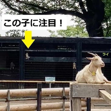yumemi_2022.9_006.jpg