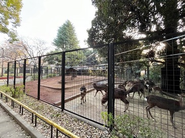 yumemi_zoo_2023.12_004.JPG