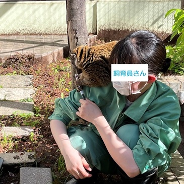 yumemi_zoo_2023.4_017.jpg