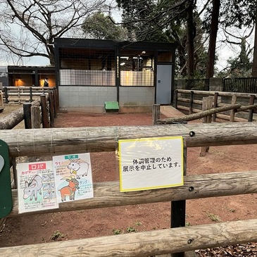 yumemi_zoo_2024.1_027.JPG